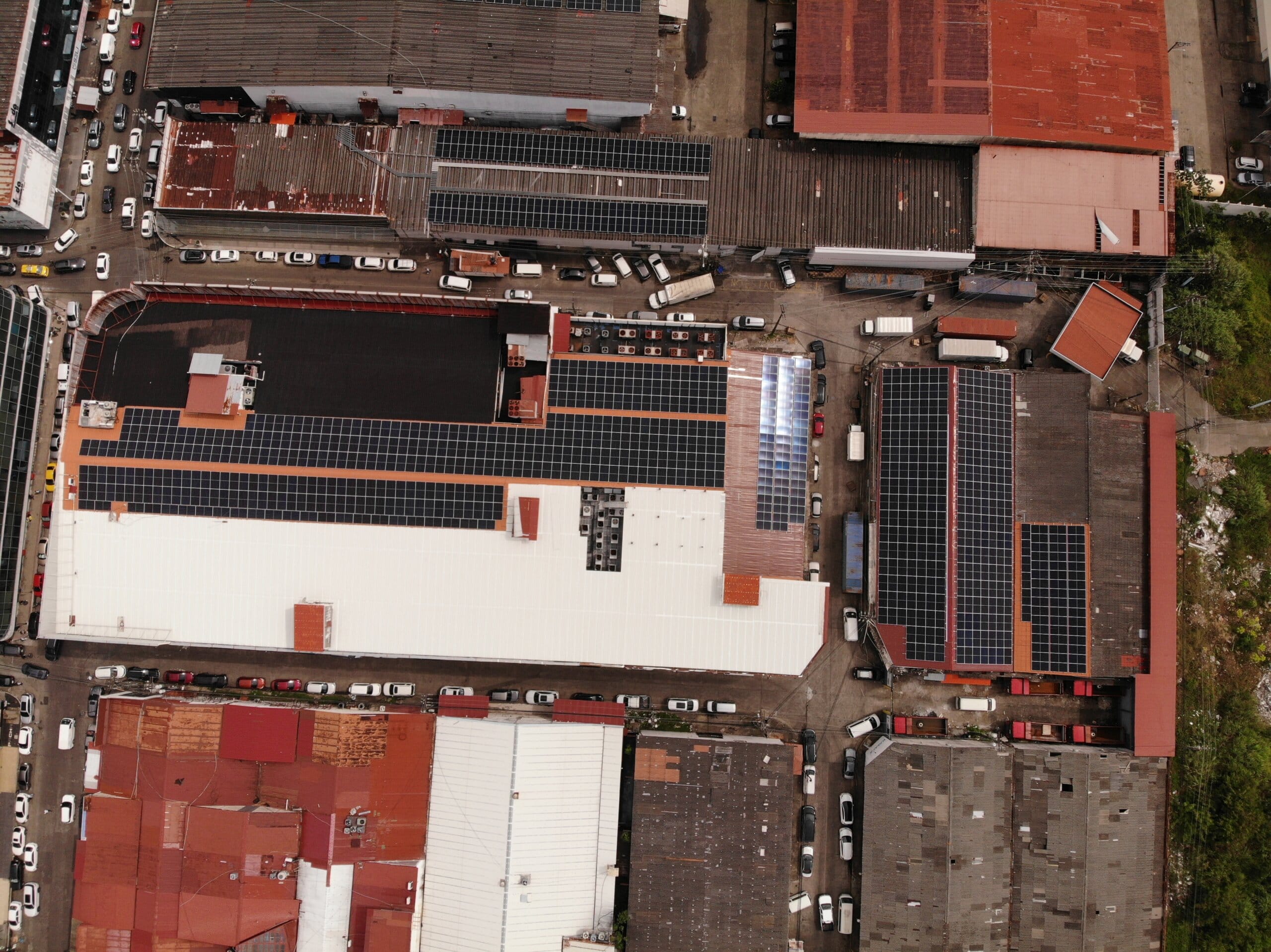 Baguta Showroom – Zona Libre